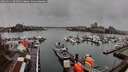 ./images/victoria/wharf/20260311/wharf20260311_092501M.jpg