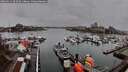 ./images/victoria/wharf/20260311/wharf20260311_093501M.jpg