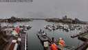 ./images/victoria/wharf/20260311/wharf20260311_094501M.jpg
