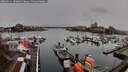 ./images/victoria/wharf/20260311/wharf20260311_100001M.jpg