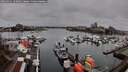 ./images/victoria/wharf/20260311/wharf20260311_102002M.jpg