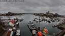 ./images/victoria/wharf/20260311/wharf20260311_103002M.jpg