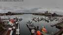 ./images/victoria/wharf/20260311/wharf20260311_105001M.jpg