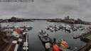 ./images/victoria/wharf/20260311/wharf20260311_111001M.jpg
