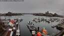 ./images/victoria/wharf/20260311/wharf20260311_123501M.jpg