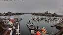 ./images/victoria/wharf/20260311/wharf20260311_124001M.jpg
