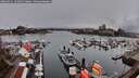 ./images/victoria/wharf/20260311/wharf20260311_131001M.jpg