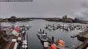 ./images/victoria/wharf/20260311/wharf20260311_131501M.jpg