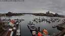 ./images/victoria/wharf/20260311/wharf20260311_134002M.jpg