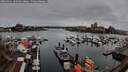 ./images/victoria/wharf/20260311/wharf20260311_135001M.jpg