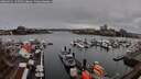 ./images/victoria/wharf/20260311/wharf20260311_135501M.jpg