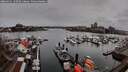 ./images/victoria/wharf/20260311/wharf20260311_140501M.jpg