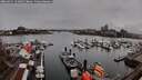 ./images/victoria/wharf/20260311/wharf20260311_141001M.jpg