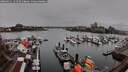 ./images/victoria/wharf/20260311/wharf20260311_141501M.jpg
