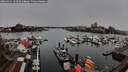 ./images/victoria/wharf/20260311/wharf20260311_144502M.jpg