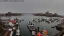 ./images/victoria/wharf/20260311/wharf20260311_145002M.jpg