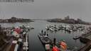./images/victoria/wharf/20260311/wharf20260311_145501M.jpg