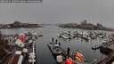 ./images/victoria/wharf/20260311/wharf20260311_150001M.jpg