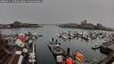 ./images/victoria/wharf/20260311/wharf20260311_150501M.jpg