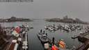 ./images/victoria/wharf/20260311/wharf20260311_151001M.jpg