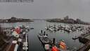 ./images/victoria/wharf/20260311/wharf20260311_151501M.jpg