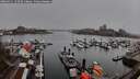 ./images/victoria/wharf/20260311/wharf20260311_152501M.jpg