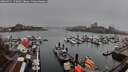 ./images/victoria/wharf/20260311/wharf20260311_153001M.jpg