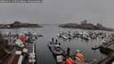 ./images/victoria/wharf/20260311/wharf20260311_154501M.jpg