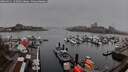 ./images/victoria/wharf/20260311/wharf20260311_155002M.jpg