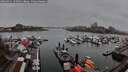 ./images/victoria/wharf/20260311/wharf20260311_155501M.jpg