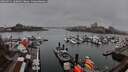 ./images/victoria/wharf/20260311/wharf20260311_160001M.jpg