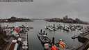 ./images/victoria/wharf/20260311/wharf20260311_161001M.jpg
