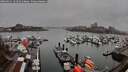 ./images/victoria/wharf/20260311/wharf20260311_161501M.jpg