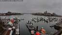 ./images/victoria/wharf/20260311/wharf20260311_162501M.jpg