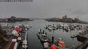 ./images/victoria/wharf/20260311/wharf20260311_163502M.jpg