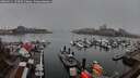./images/victoria/wharf/20260311/wharf20260311_170501M.jpg