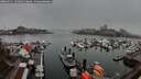 ./images/victoria/wharf/20260311/wharf20260311_172001M.jpg