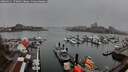 ./images/victoria/wharf/20260311/wharf20260311_173001M.jpg