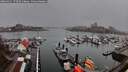 ./images/victoria/wharf/20260311/wharf20260311_173501M.jpg