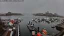 ./images/victoria/wharf/20260311/wharf20260311_174501M.jpg