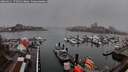 ./images/victoria/wharf/20260311/wharf20260311_175002M.jpg