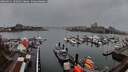 ./images/victoria/wharf/20260311/wharf20260311_181001M.jpg
