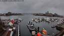 ./images/victoria/wharf/20260311/wharf20260311_181501M.jpg