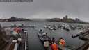 ./images/victoria/wharf/20260312/wharf20260312_081001M.jpg