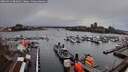 ./images/victoria/wharf/20260312/wharf20260312_082001M.jpg