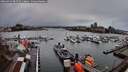./images/victoria/wharf/20260312/wharf20260312_082501M.jpg
