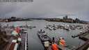./images/victoria/wharf/20260312/wharf20260312_083001M.jpg