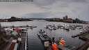 ./images/victoria/wharf/20260312/wharf20260312_085501M.jpg