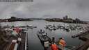 ./images/victoria/wharf/20260312/wharf20260312_095501M.jpg