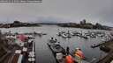 ./images/victoria/wharf/20260312/wharf20260312_113501M.jpg